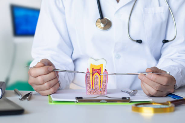 Best Weekend Emergency Dentist in Westville, OK
